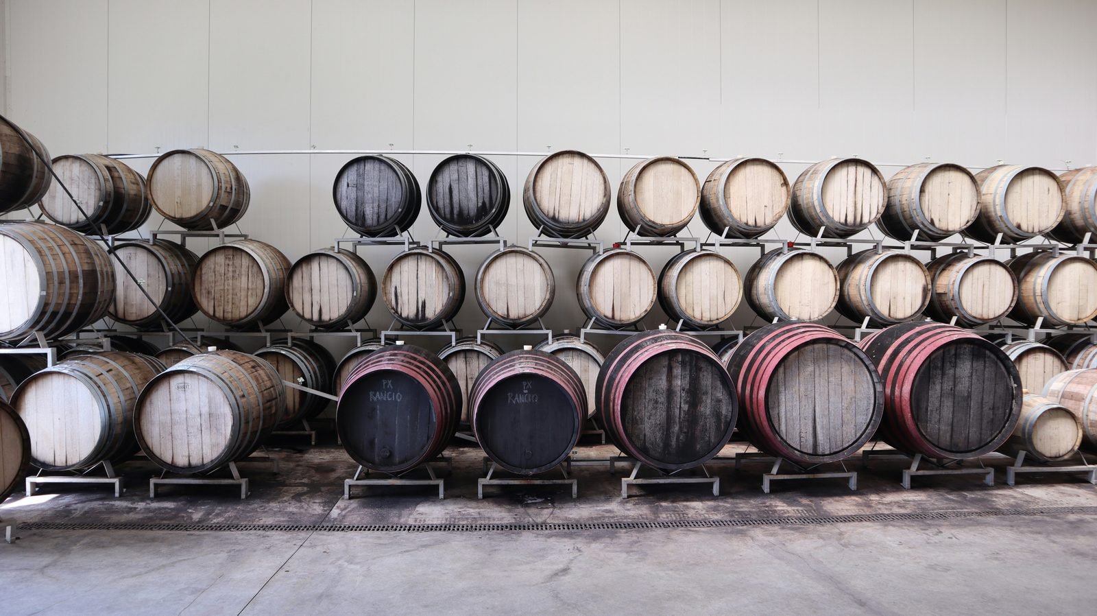 The cellar